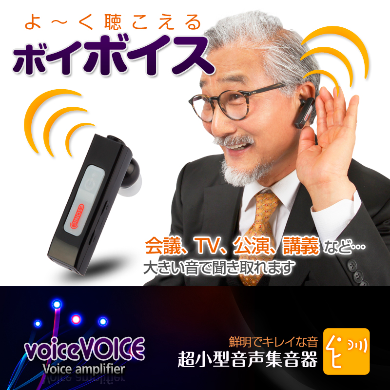 voicevoice_1p